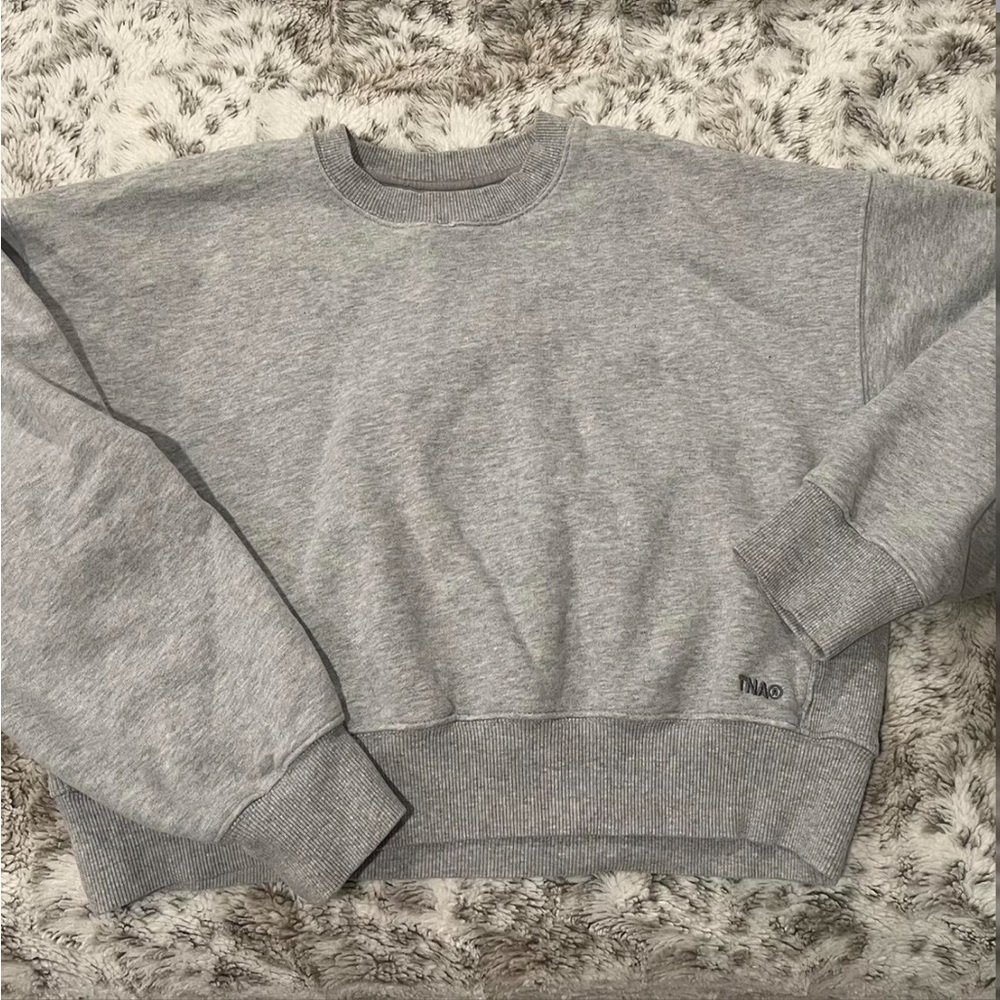 Grey Aritzia Crew Neck